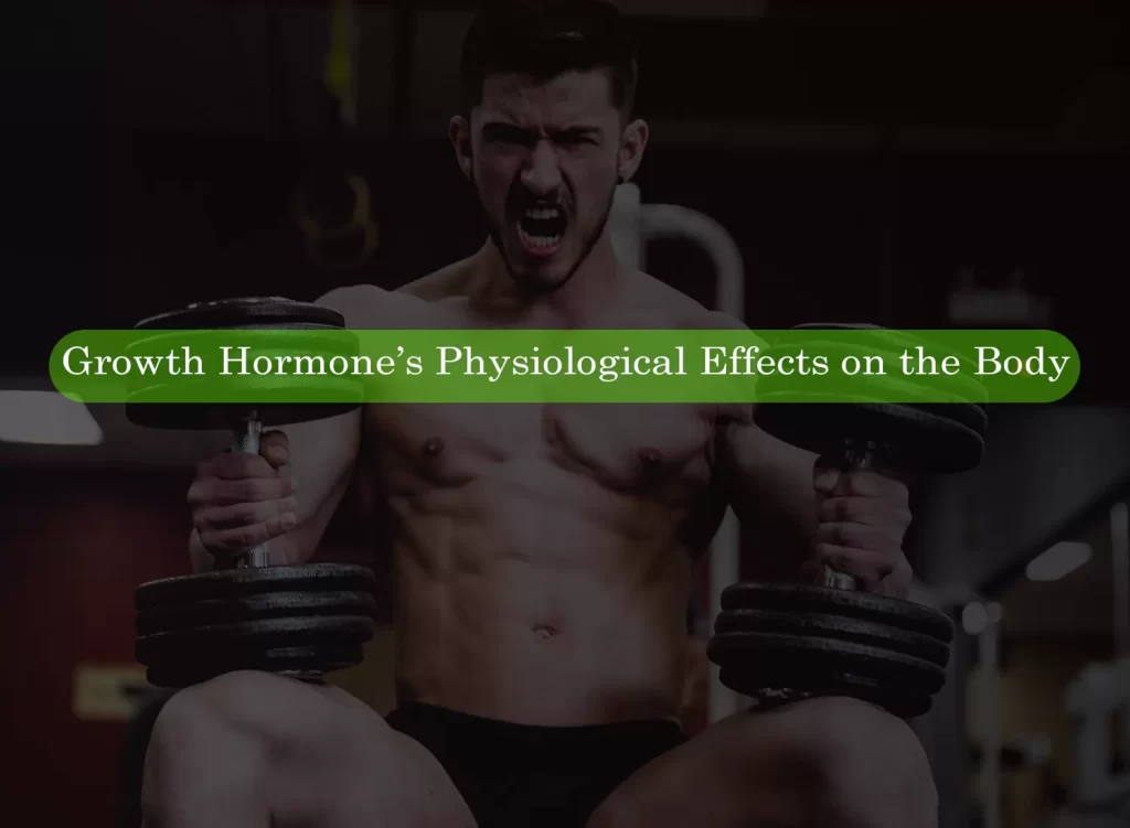 Growth Hormone’s Physiological Effects