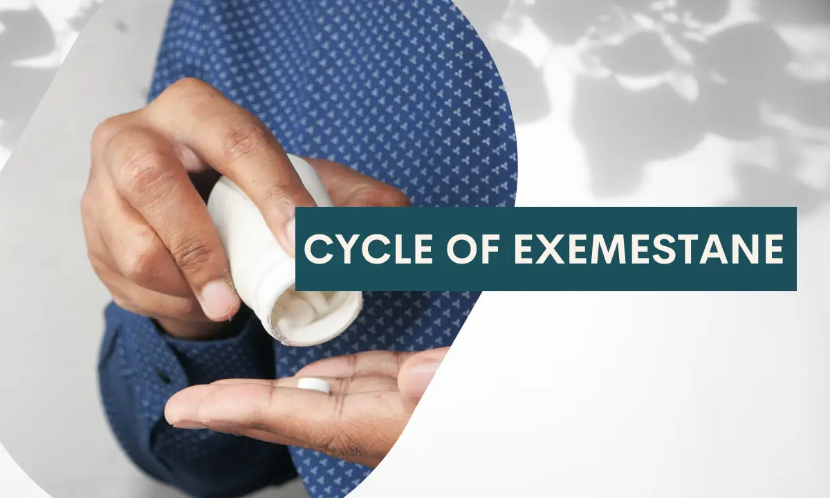 Cycle of Exemestane