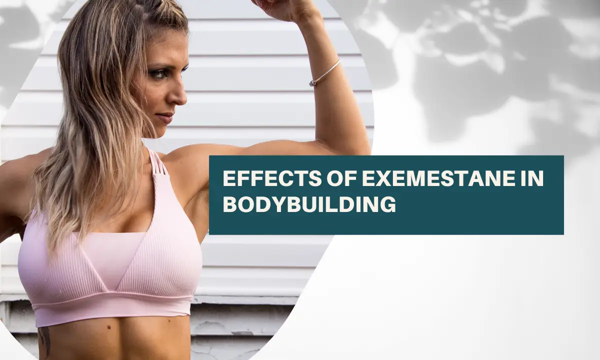 Effects of Exemestane in Bodybuilding
