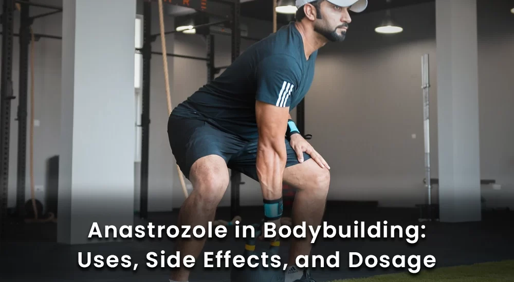 Anastrozole in bodybuilding