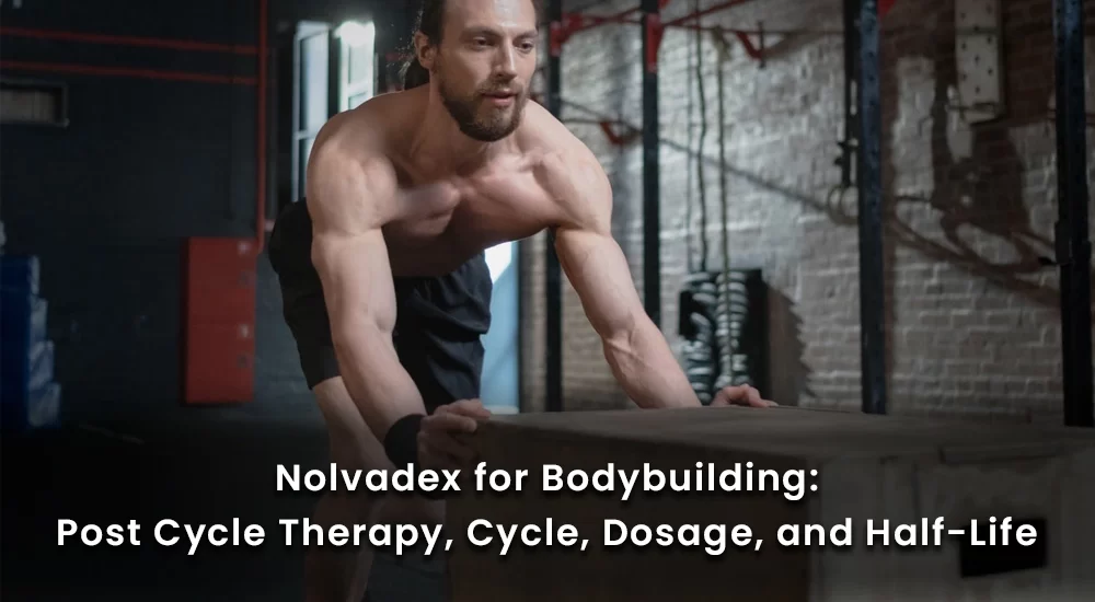 Nolvadex for bodybuilding