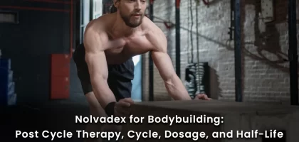Nolvadex for bodybuilding